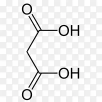 羧酸分子丙酸氨基酸