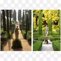 花园设计吉阿迪诺所有的景观建筑绿色墙