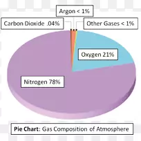 地球大气饼图氮气科学