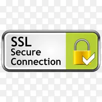 传输层安全https计算机安全加密协议加密