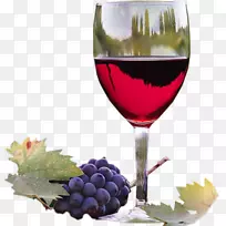 品酒哥伦比亚谷艾娃马尔贝克葡萄酒-葡萄酒