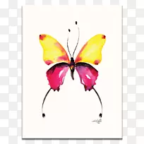 帝王蝴蝶水彩画抽象艺术绘画