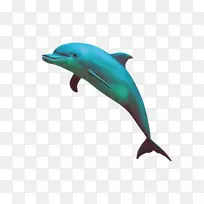 条纹海豚剪贴画-海豚