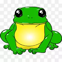 可食用青蛙蟾蜍杯子树蛙-青蛙