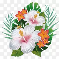夏威夷芙蓉花剪贴画-花