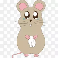 老鼠须悲伤-老鼠