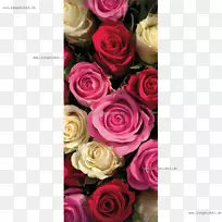 花园玫瑰，切花，花设计，蜈蚣，玫瑰-花