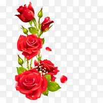 玫瑰花设计玫瑰画框.玫瑰