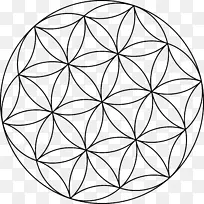 种子圈几何剪贴画圈
