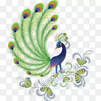 鸟孔雀剪贴画-鸟