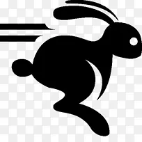 运行兔子电脑图标野兔