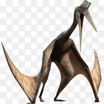 翼龙恐龙厚鼻龙柜：生存进化-恐龙