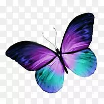蝴蝶纹身紫蓝色剪贴画-蝴蝶