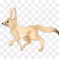 猎犬芬尼狐皮毛宠物狗