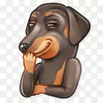 犬种鼻子电报贴狗