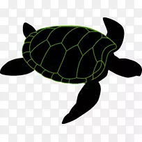 绿海龟剪贴画-海龟