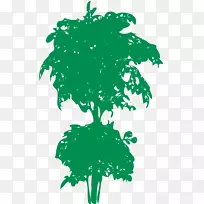 枝条植物茎叶剪贴画