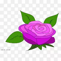花园玫瑰杂交茶玫瑰插花艺术-玫瑰