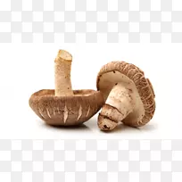 香菇亚洲菜素食蘑菇