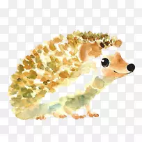 刺猬画影子刺猬