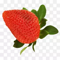 草莓辅助水果食品水果蛋糕-草莓