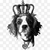 骑士国王查尔斯猎犬繁殖t恤小狗