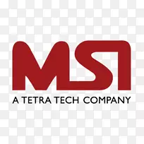 Tetra Technology Management afacere项目研究