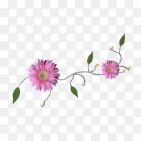 花卉设计爱花