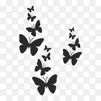 模板蝴蝶艺术-蝴蝶