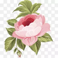 花卉设计玫瑰花