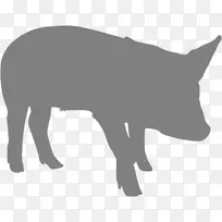 猪的剪影红狐夹艺术-猪