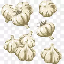 蔬菜大蒜剪贴画-蔬菜