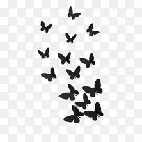蝴蝶桌面壁纸黑白模板-蝴蝶
