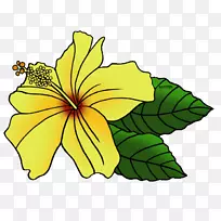 夏威夷芙蓉州花卉剪贴画