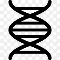 人类基因组计划dna核酸双螺旋遗传学计算机图标