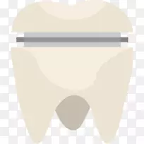 牙科磨牙冠