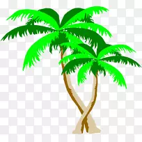 槟榔科植物茎秆剪贴画
