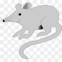 鼠棕色大鼠实验大鼠动物-小鼠
