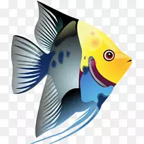 热带鱼-鱼