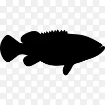 大西洋金鱼石斑鱼