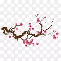樱花画纸画-樱花