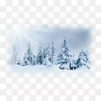 紫外线冬季雪版税-免费剪贴画-冬天