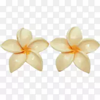 兰花花瓣夏威夷珠宝耳环