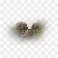 桌面壁纸摄影计算机树-计算机