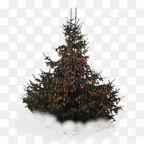 云杉圣诞树，圣诞装饰雪花-圣诞树