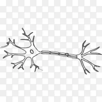 神经元神经系统人工神经网络剪辑艺术脑