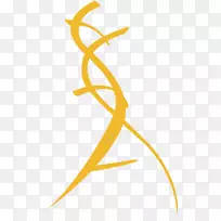 DNA核酸结构的生物学分子模型
