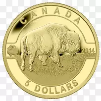 加拿大皇家铸币金币-加拿大