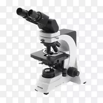 光学显微镜数字显微镜光学仪器显微镜
