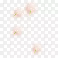 桌面壁纸花瓣剪贴画